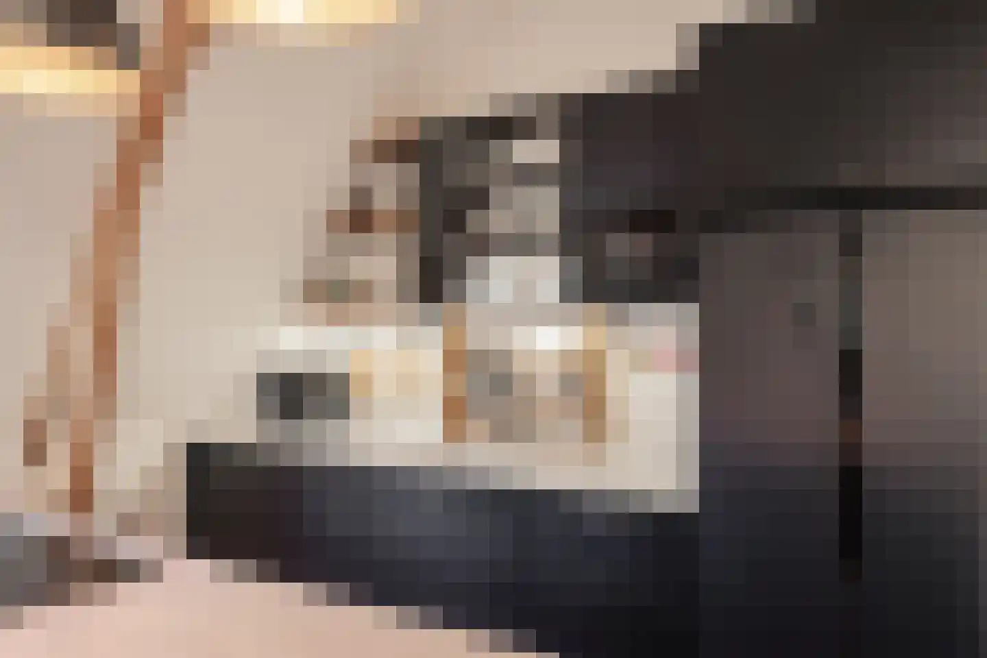 Dreef 30 C Haarlem thumbnail 4