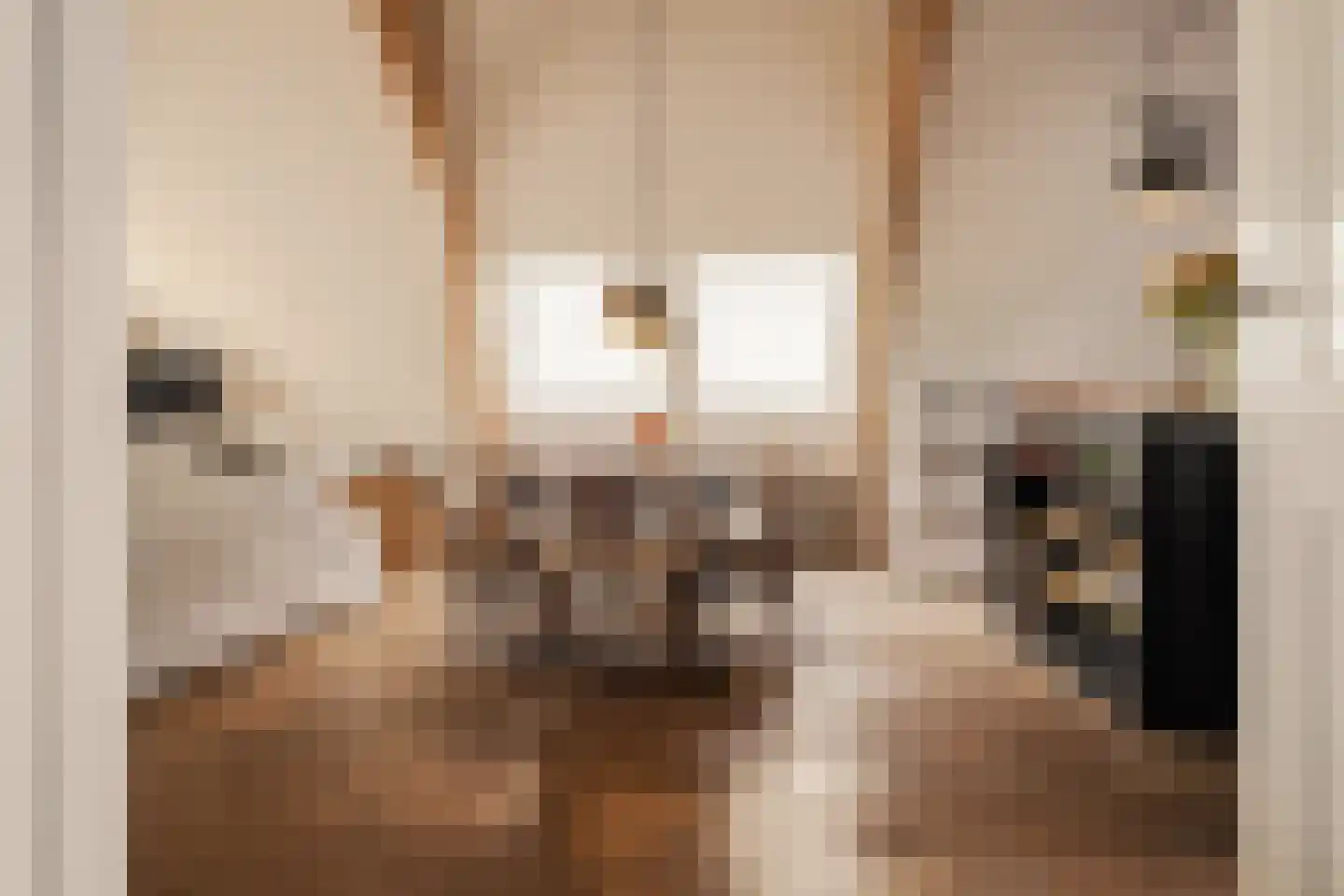 Dreef 30 C Haarlem thumbnail 8