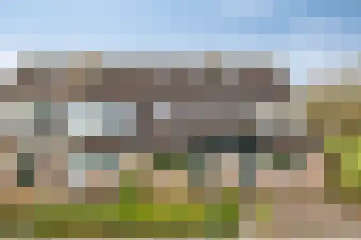 Dreef 33 in Nieuw-Beijerland