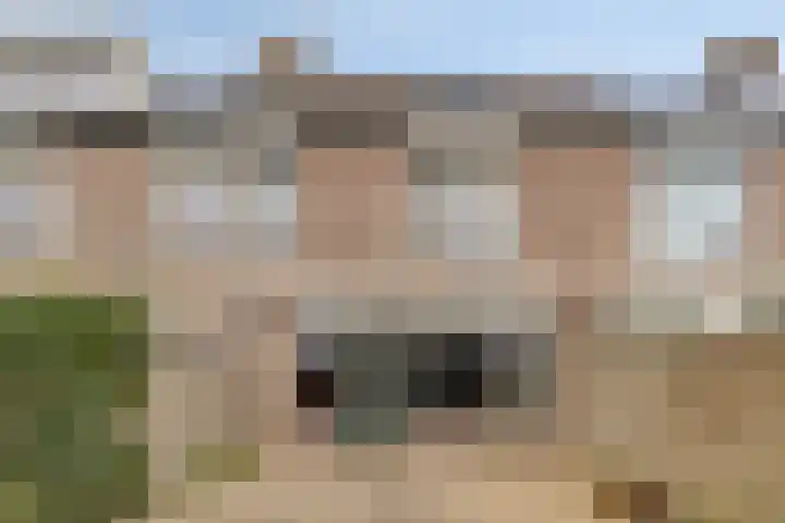 Dreef 33 Nieuw-Beijerland thumbnail 28