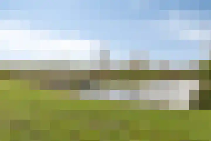 Dreef 33 Nieuw-Beijerland thumbnail 29