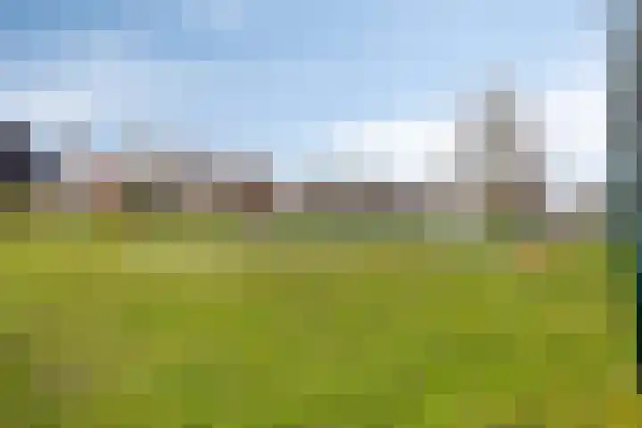 Dreef 33 Nieuw-Beijerland thumbnail 30