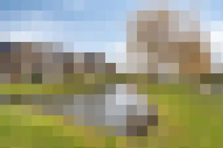 Dreef 33 Nieuw-Beijerland thumbnail 31