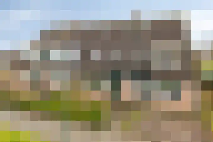 Dreef 33 Nieuw-Beijerland thumbnail 32