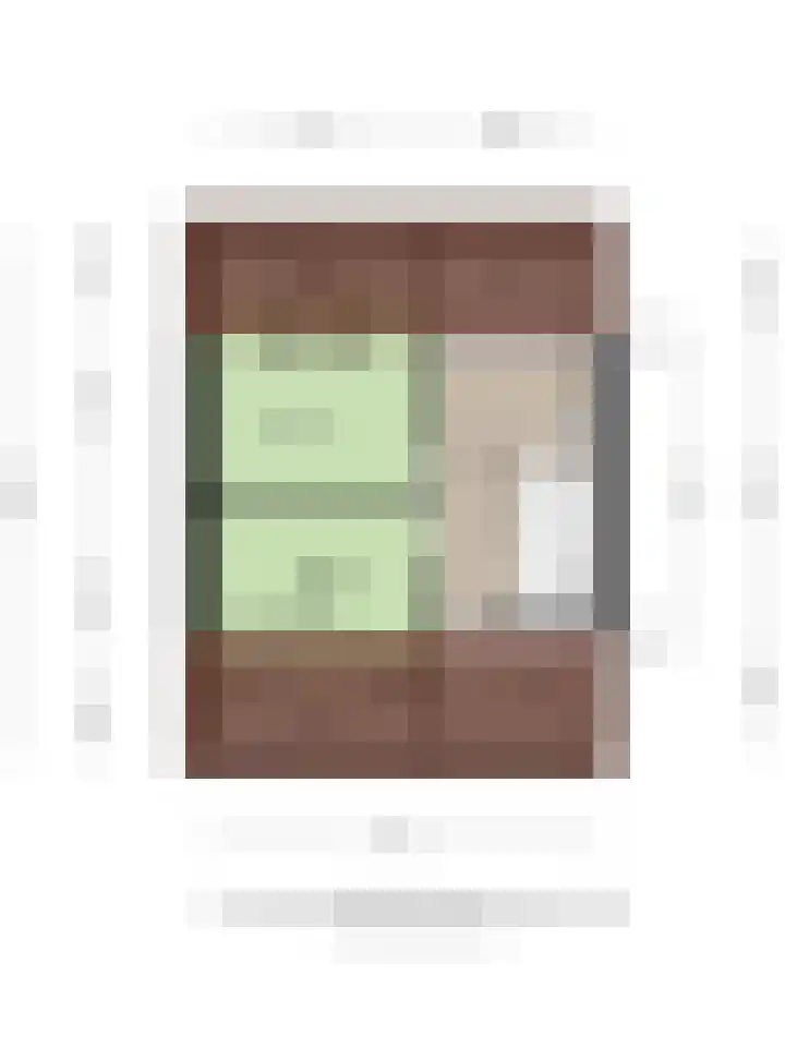 Dreef 33 Nieuw-Beijerland thumbnail 35