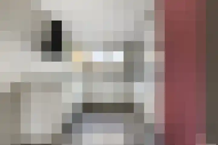 Dreef 33 Nieuw-Beijerland thumbnail 7