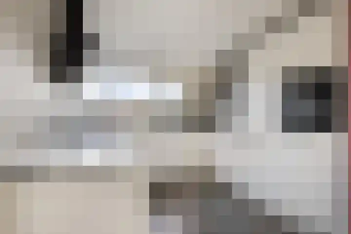 Dreef 33 Nieuw-Beijerland thumbnail 8