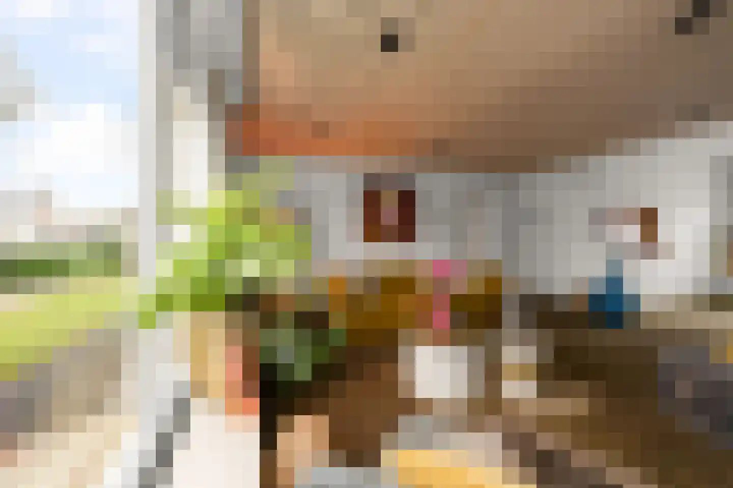 Dreef 34 Beverwijk thumbnail 11
