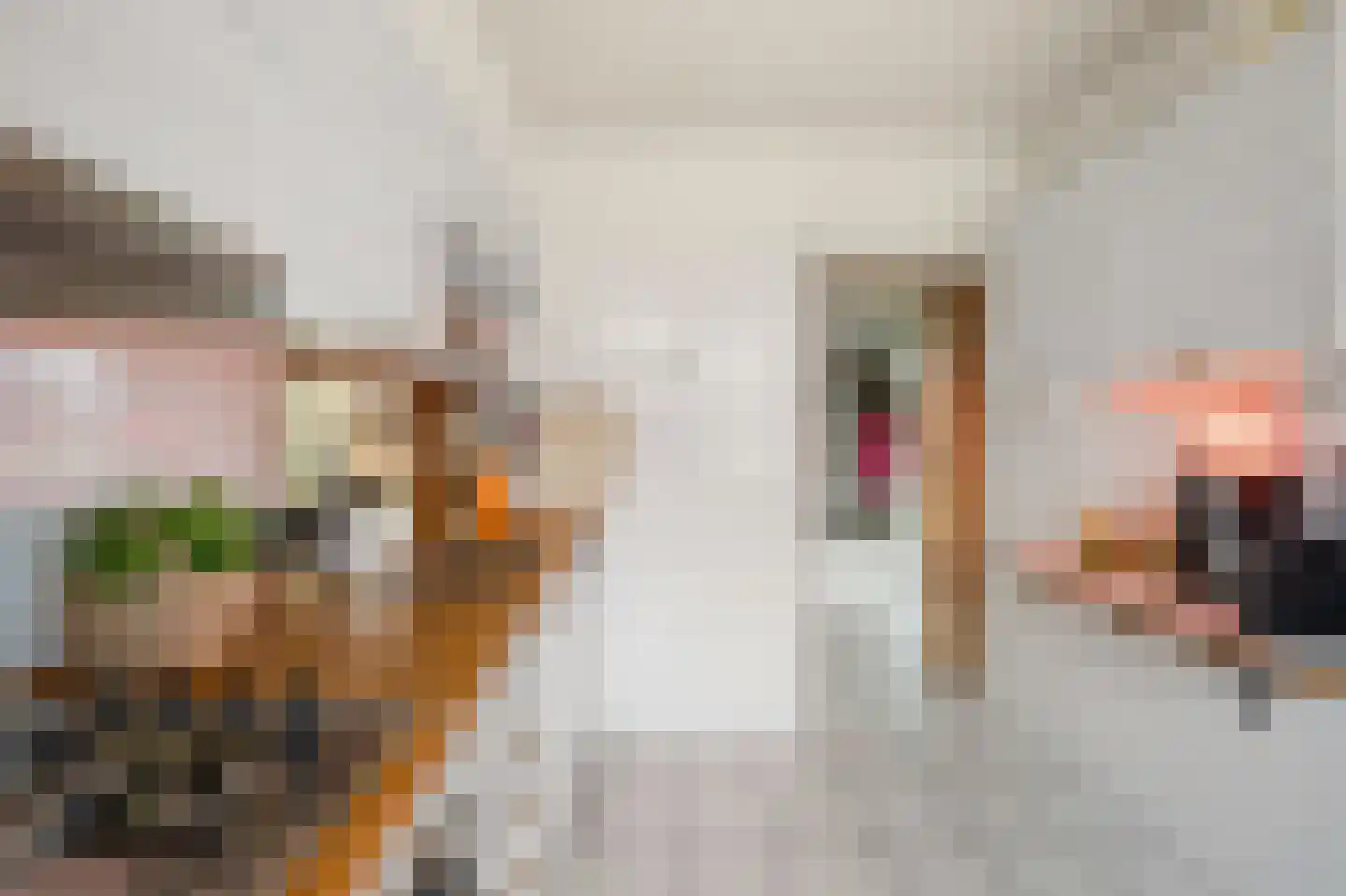Dreef 34 Beverwijk thumbnail 14