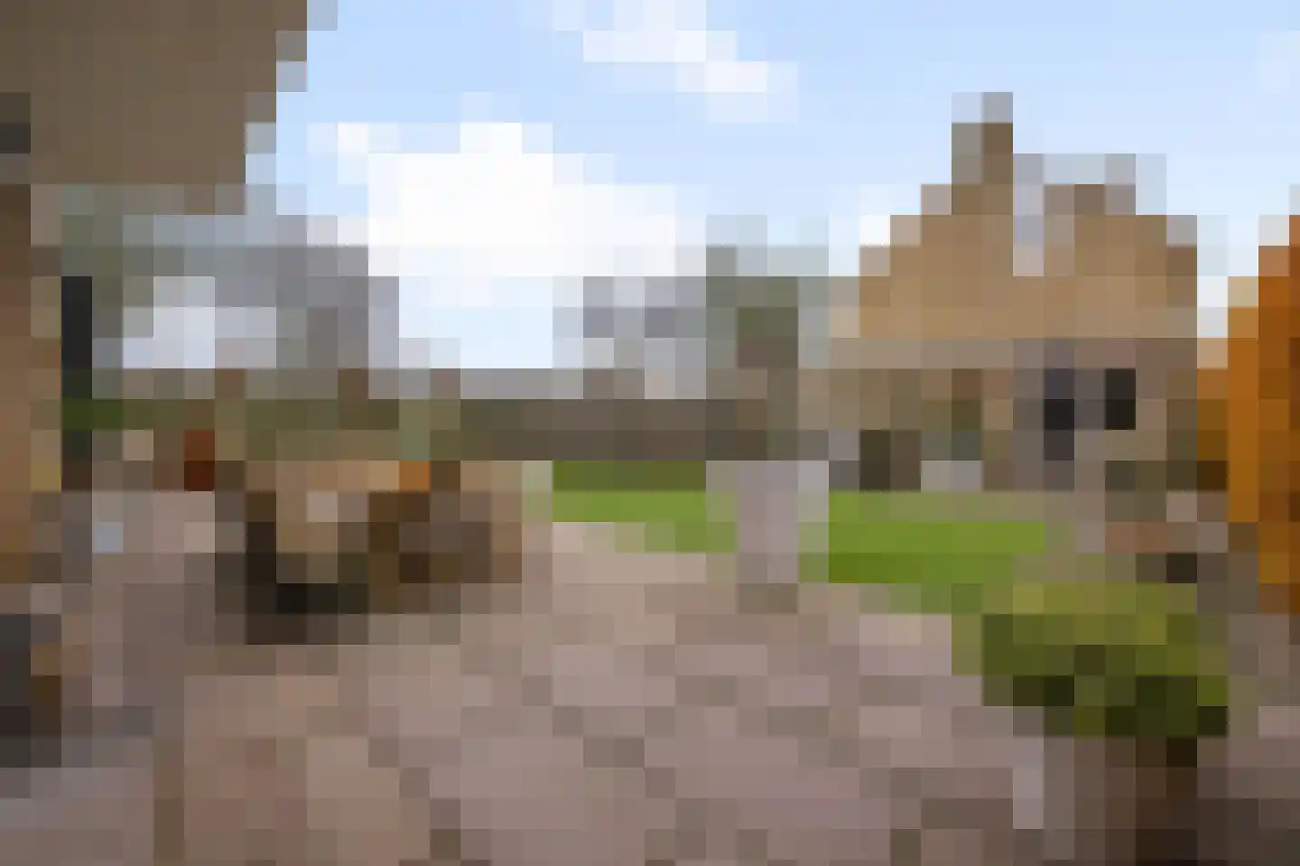 Dreef 34 Beverwijk thumbnail 16