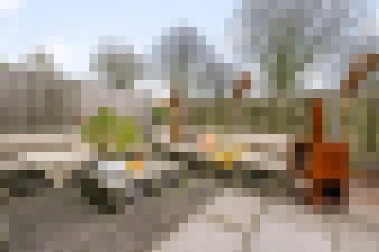 Dreef 34 Beverwijk thumbnail 19