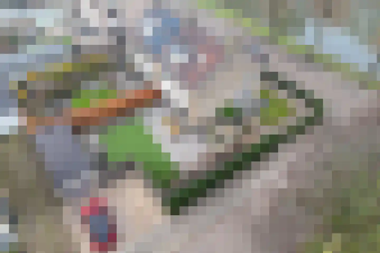 Dreef 34 Beverwijk thumbnail 22