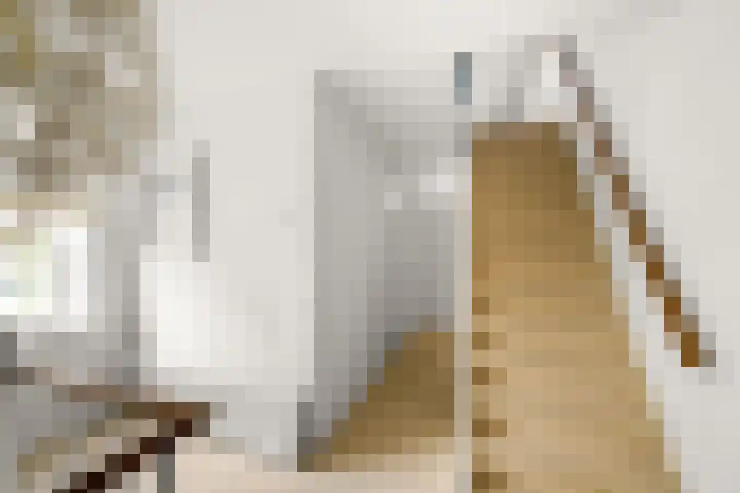 Dreef 34 Beverwijk thumbnail 30
