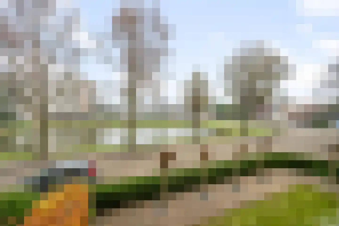Dreef 34 Beverwijk thumbnail 36
