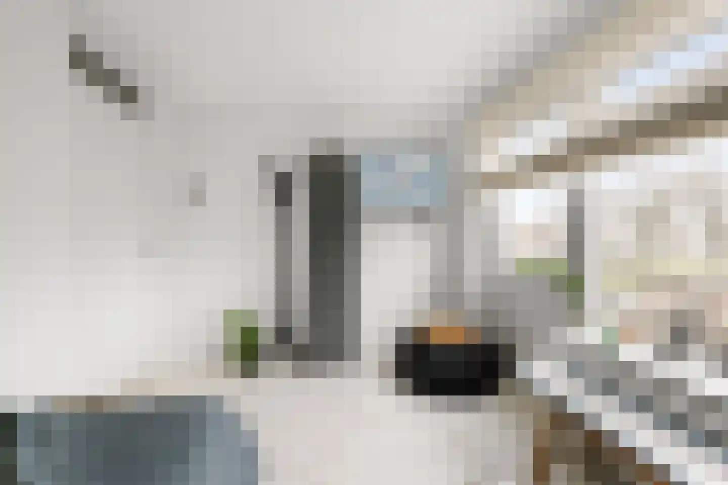 Dreef 34 Beverwijk thumbnail 39