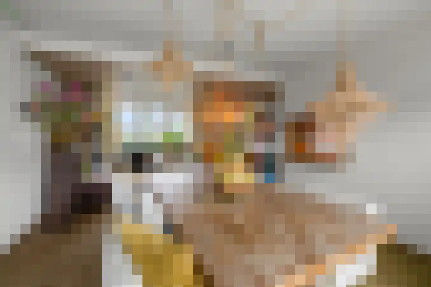 Dreef 34 Beverwijk thumbnail 4