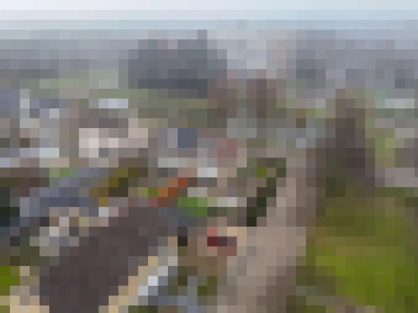 Dreef 34 Beverwijk thumbnail 50