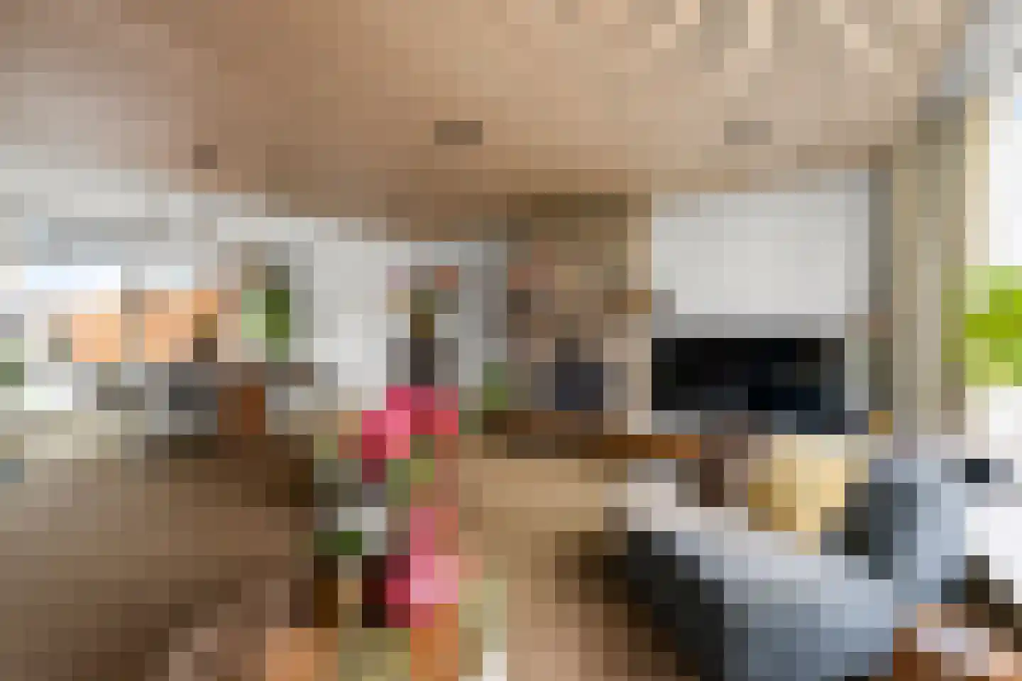 Dreef 34 Beverwijk thumbnail 7