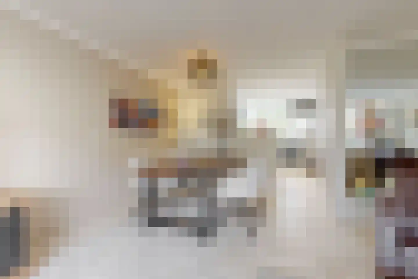 Dreef 36 Aalsmeer thumbnail 13