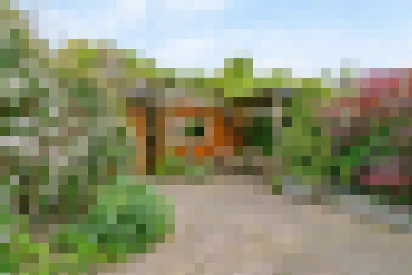 Dreef 36 Aalsmeer thumbnail 16