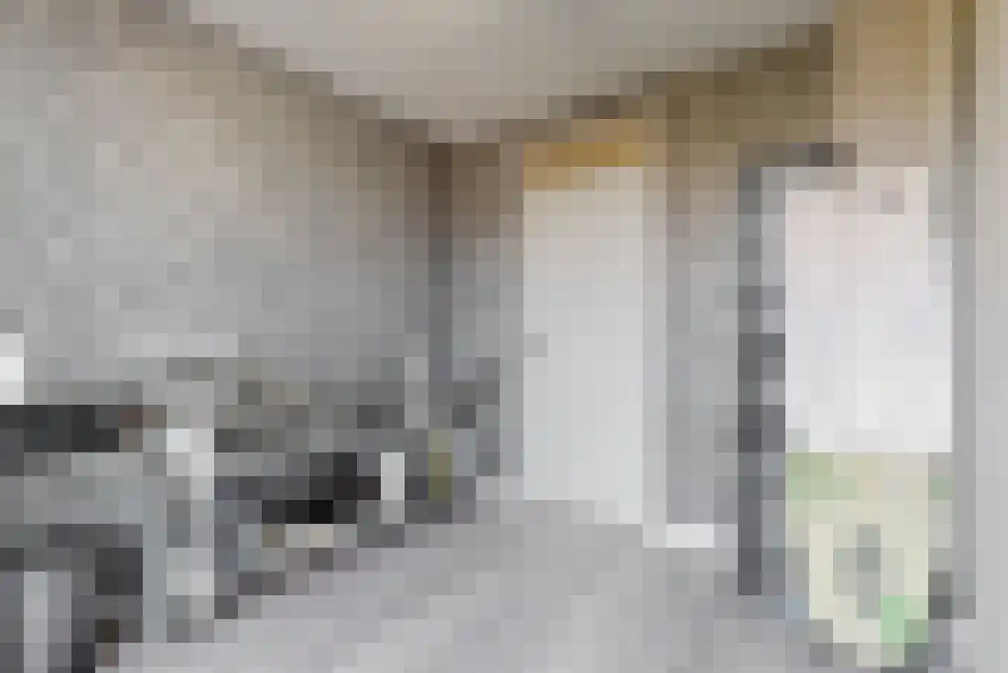 Dreef 36 Aalsmeer thumbnail 24