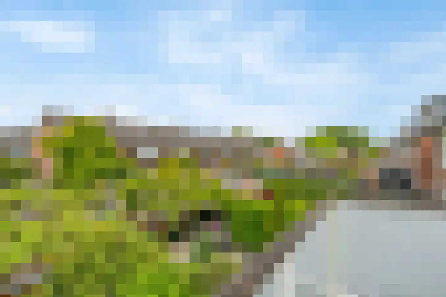 Dreef 36 Aalsmeer thumbnail 28
