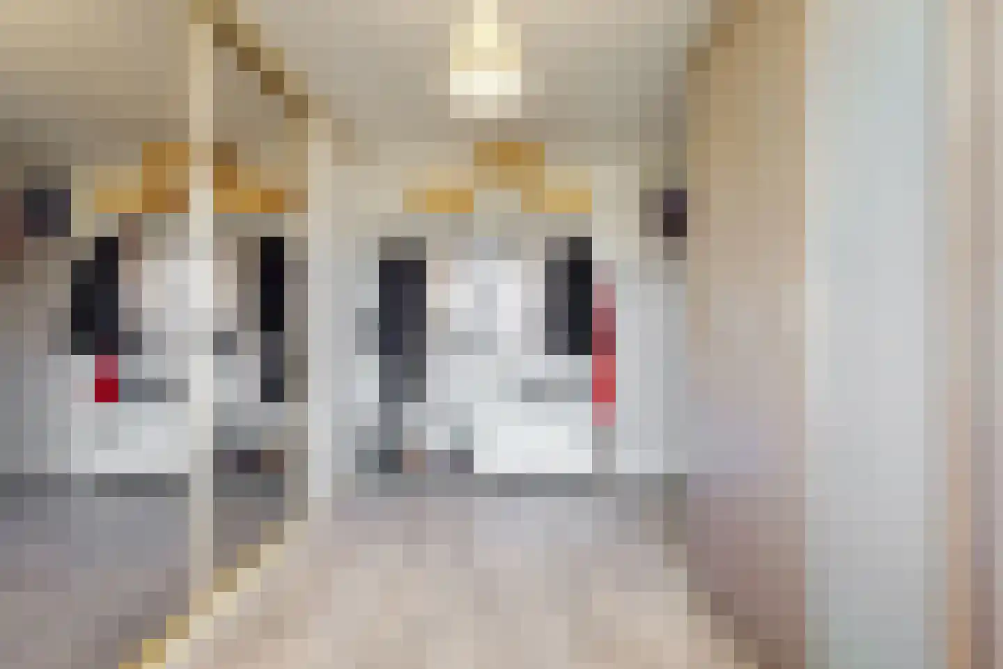 Dreef 36 Aalsmeer thumbnail 30