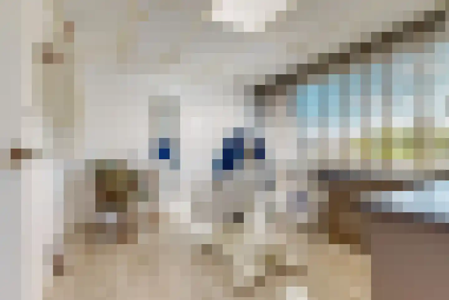 Dreef 36 Aalsmeer thumbnail 31