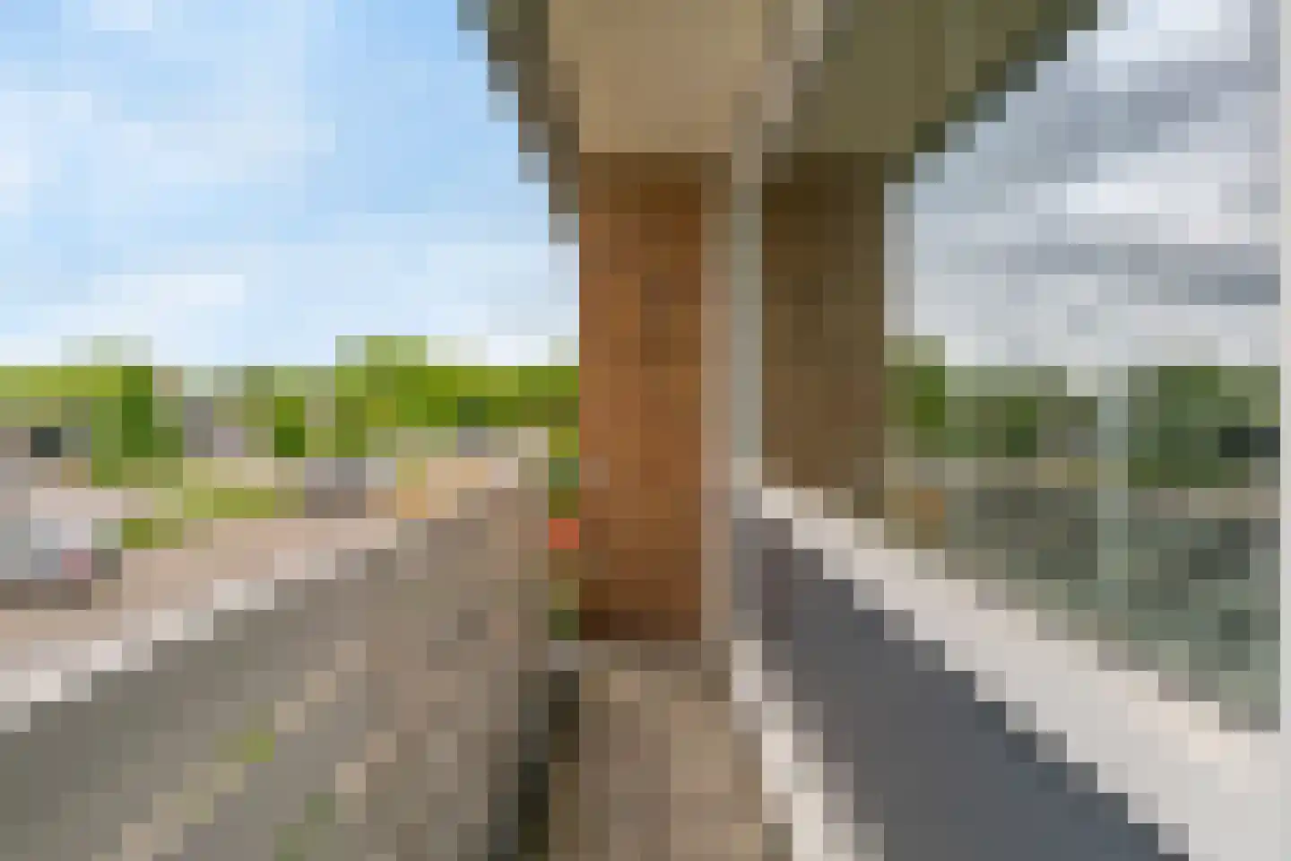 Dreef 36 Aalsmeer thumbnail 33