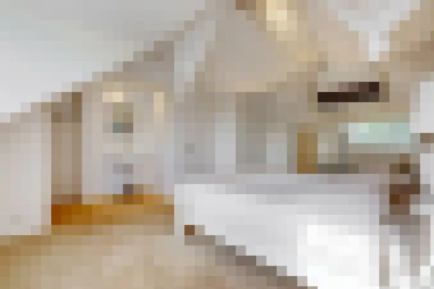 Dreef 36 Aalsmeer thumbnail 39