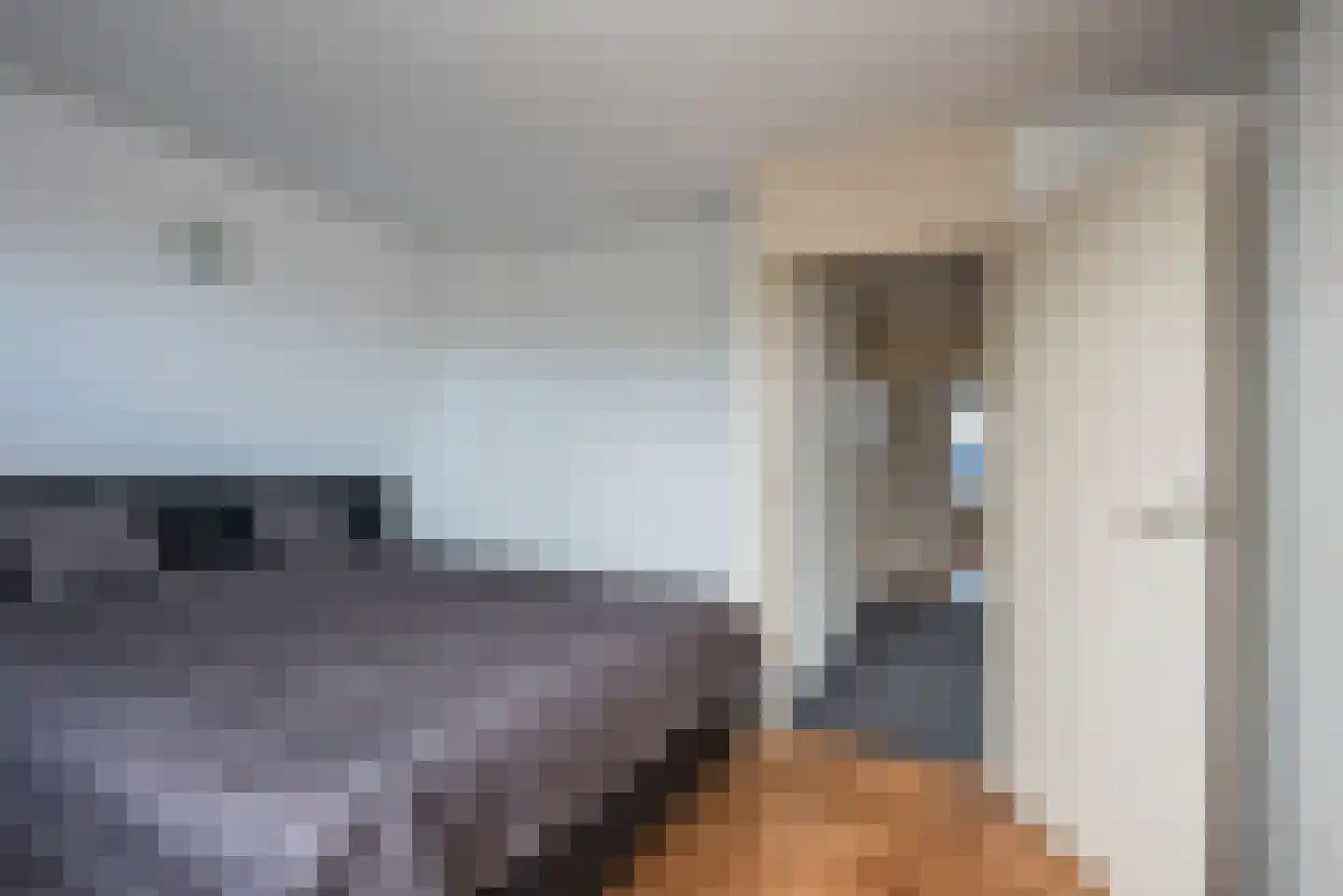 Dreef 38 Borne thumbnail 17