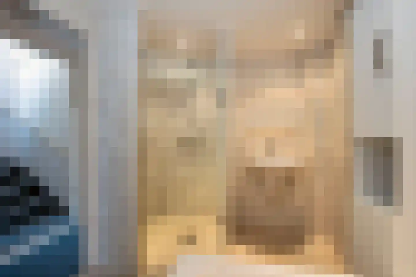 Dreef 38 Borne thumbnail 24