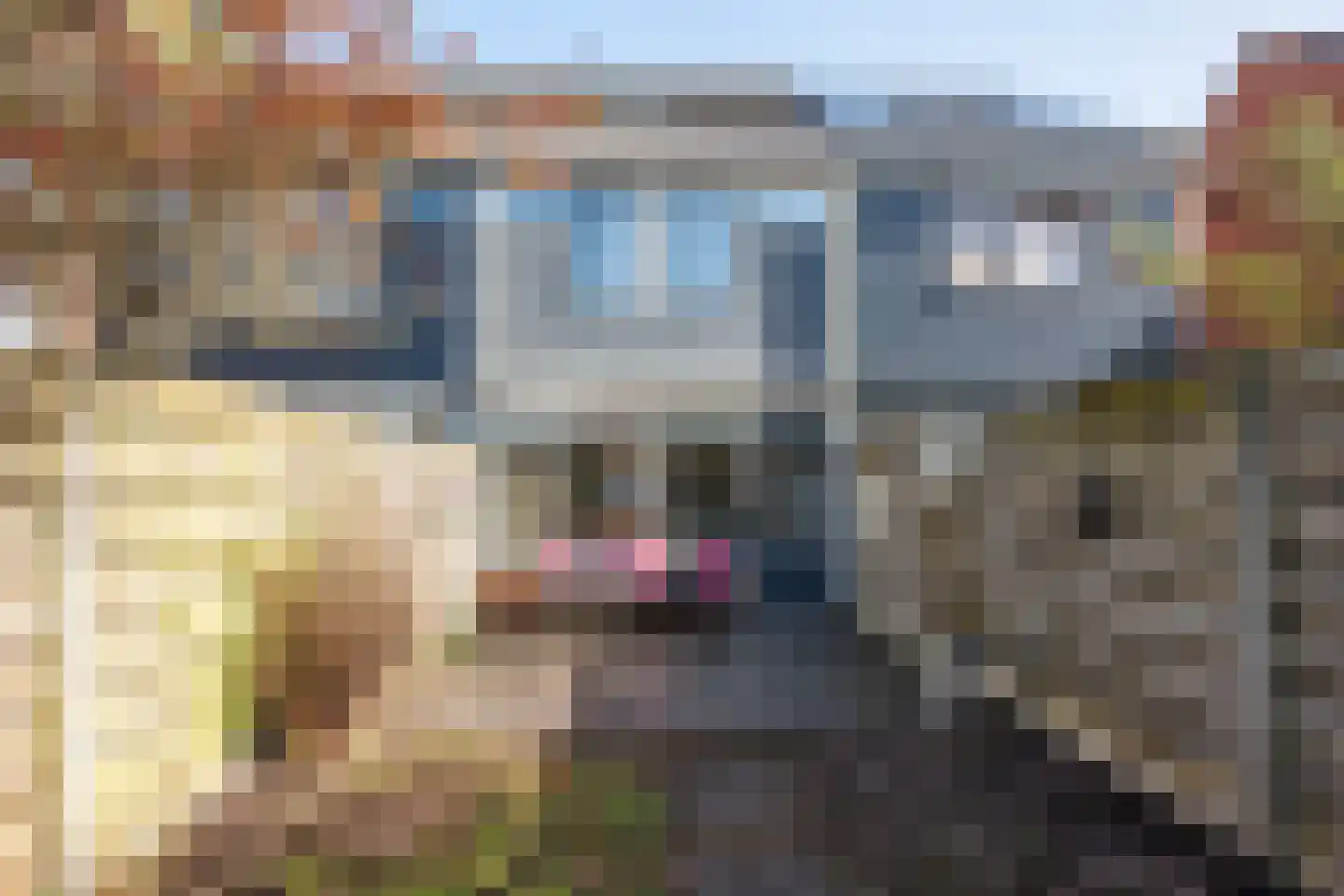 Dreef 38 Borne thumbnail 27