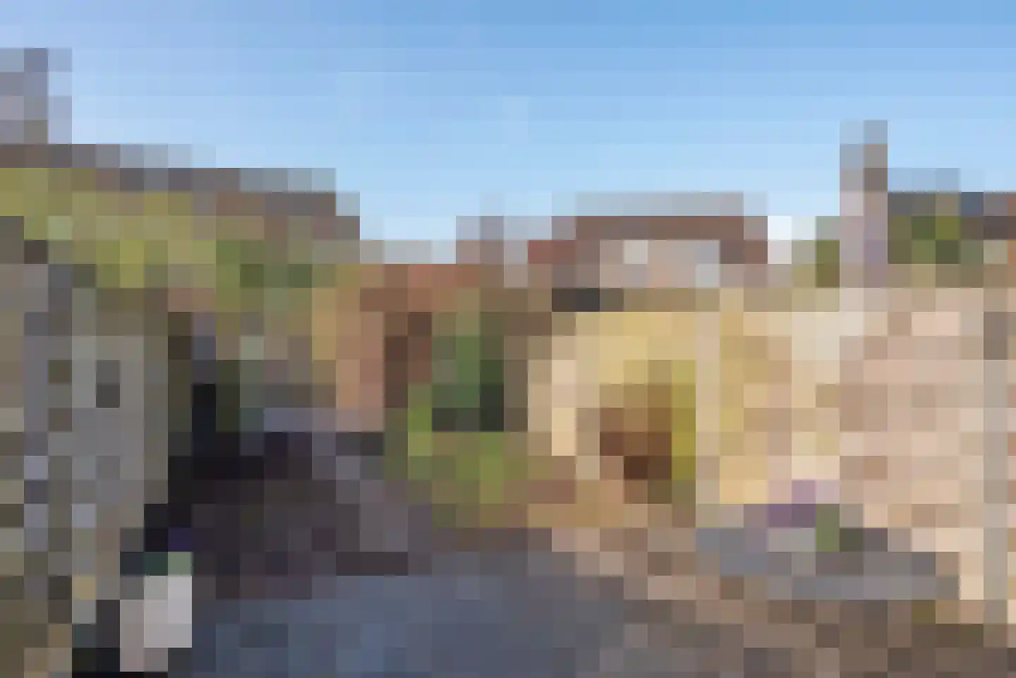 Dreef 38 Borne thumbnail 28