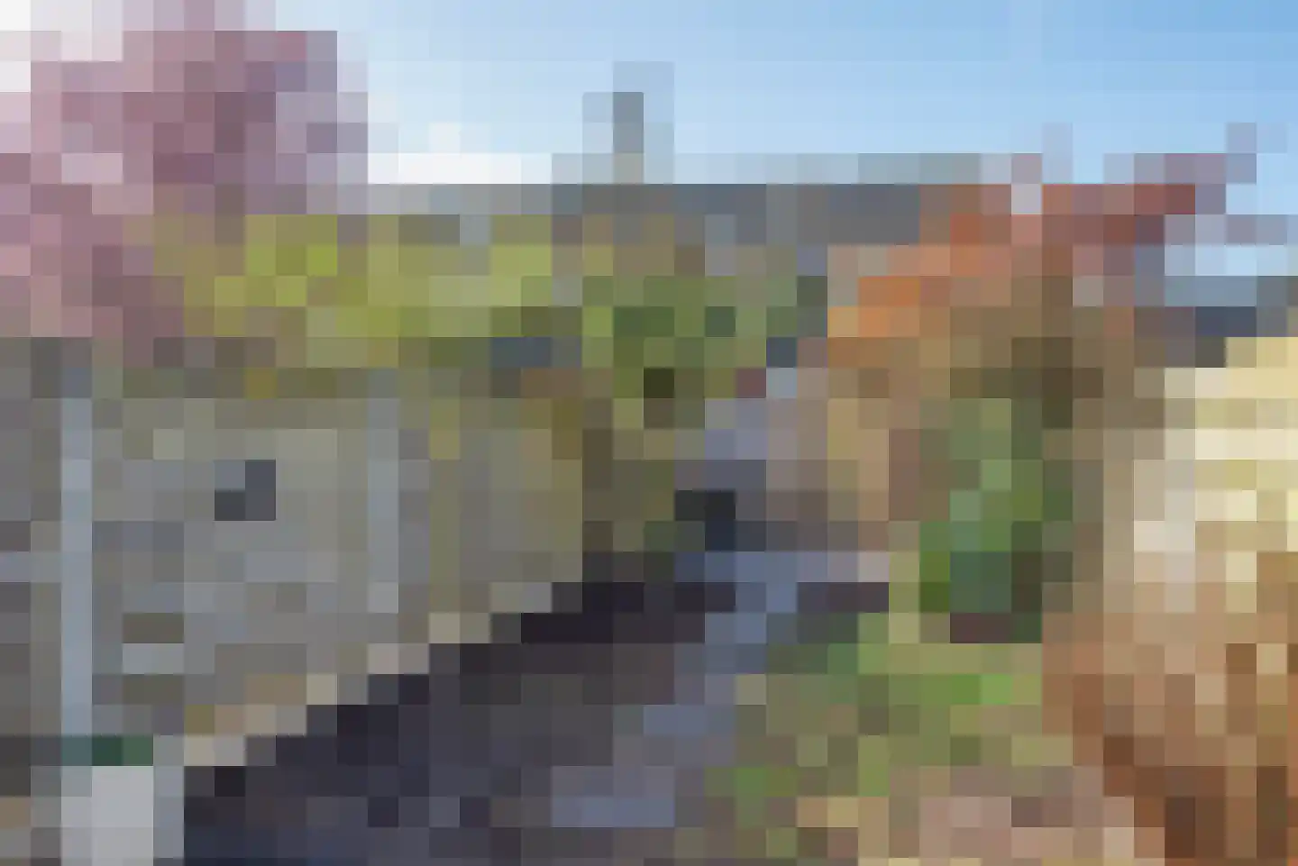 Dreef 38 Borne thumbnail 30