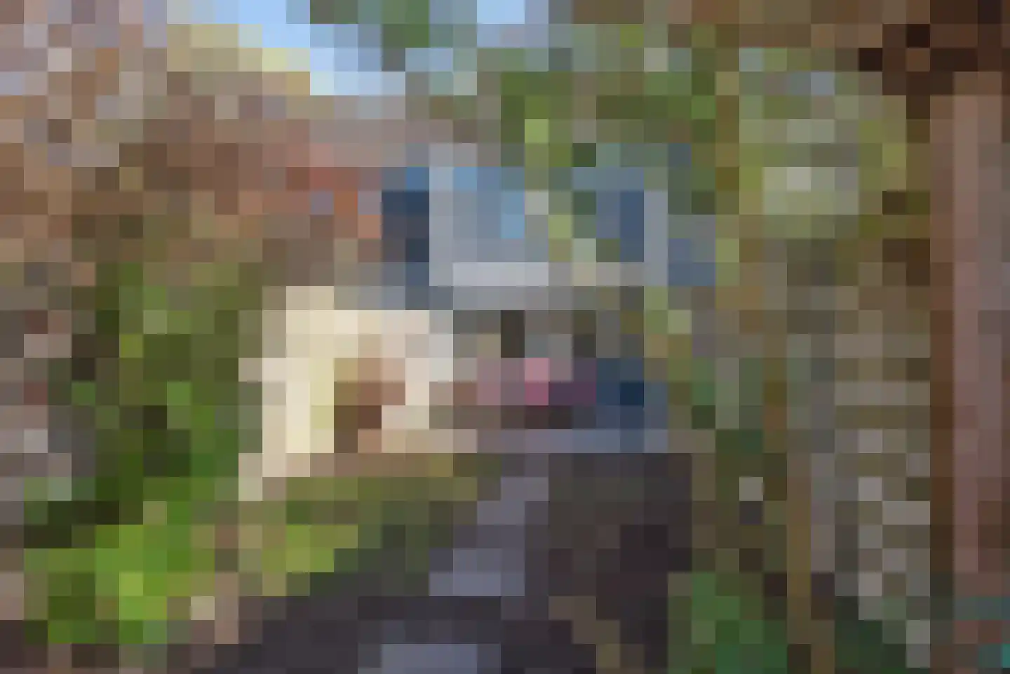 Dreef 38 Borne thumbnail 4