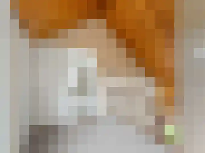 Dreef 4 Kockengen thumbnail 21