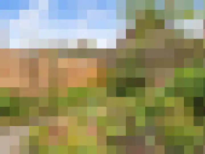 Dreef 4 Kockengen thumbnail 32