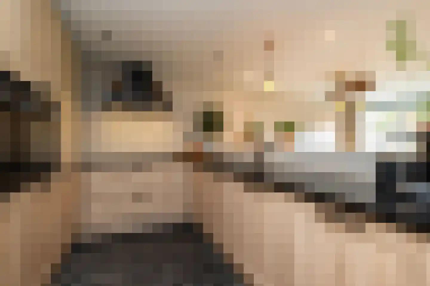 Dreef 40 Biddinghuizen thumbnail 10