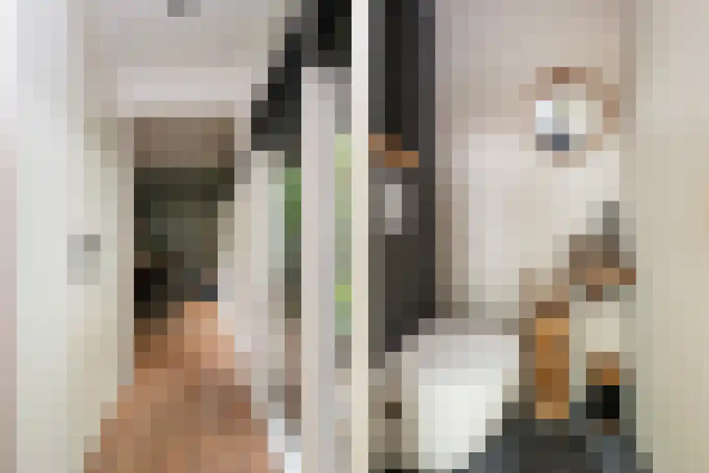 Dreef 40 Biddinghuizen thumbnail 13