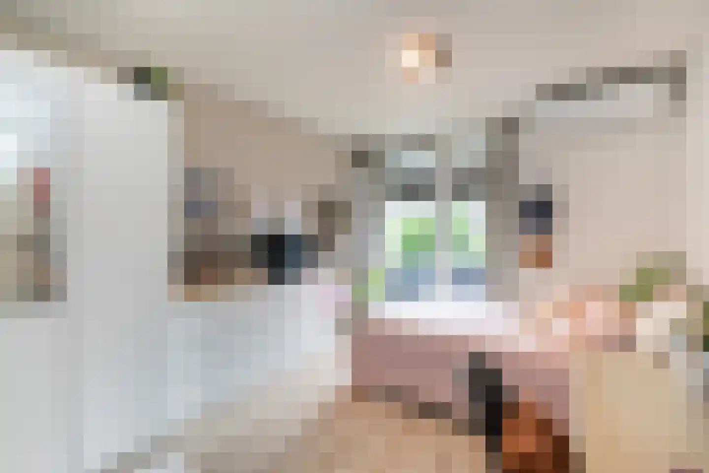 Dreef 40 Biddinghuizen thumbnail 14