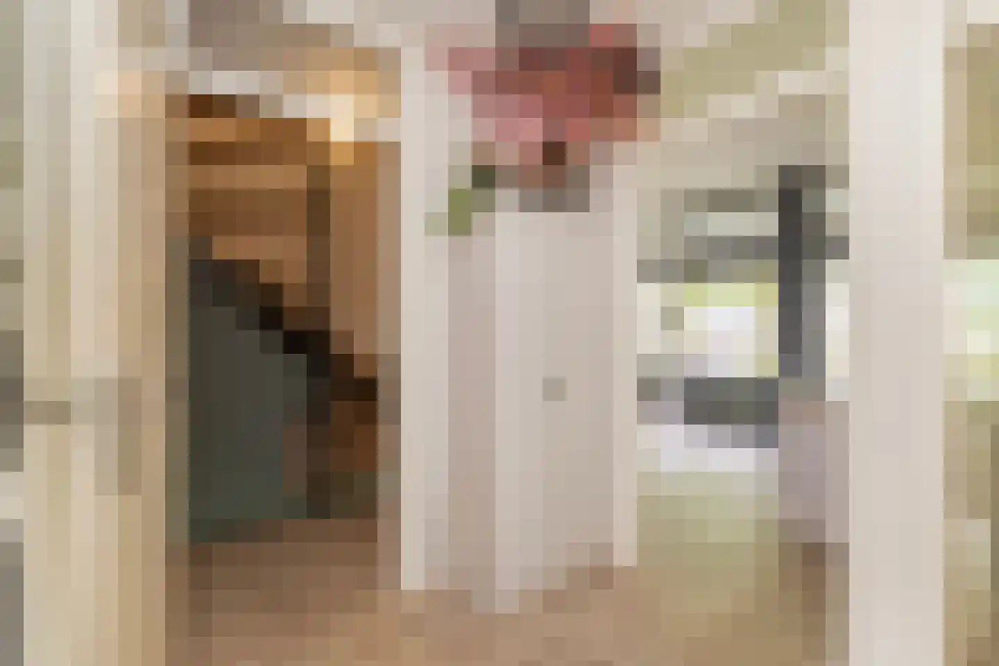 Dreef 40 Biddinghuizen thumbnail 21