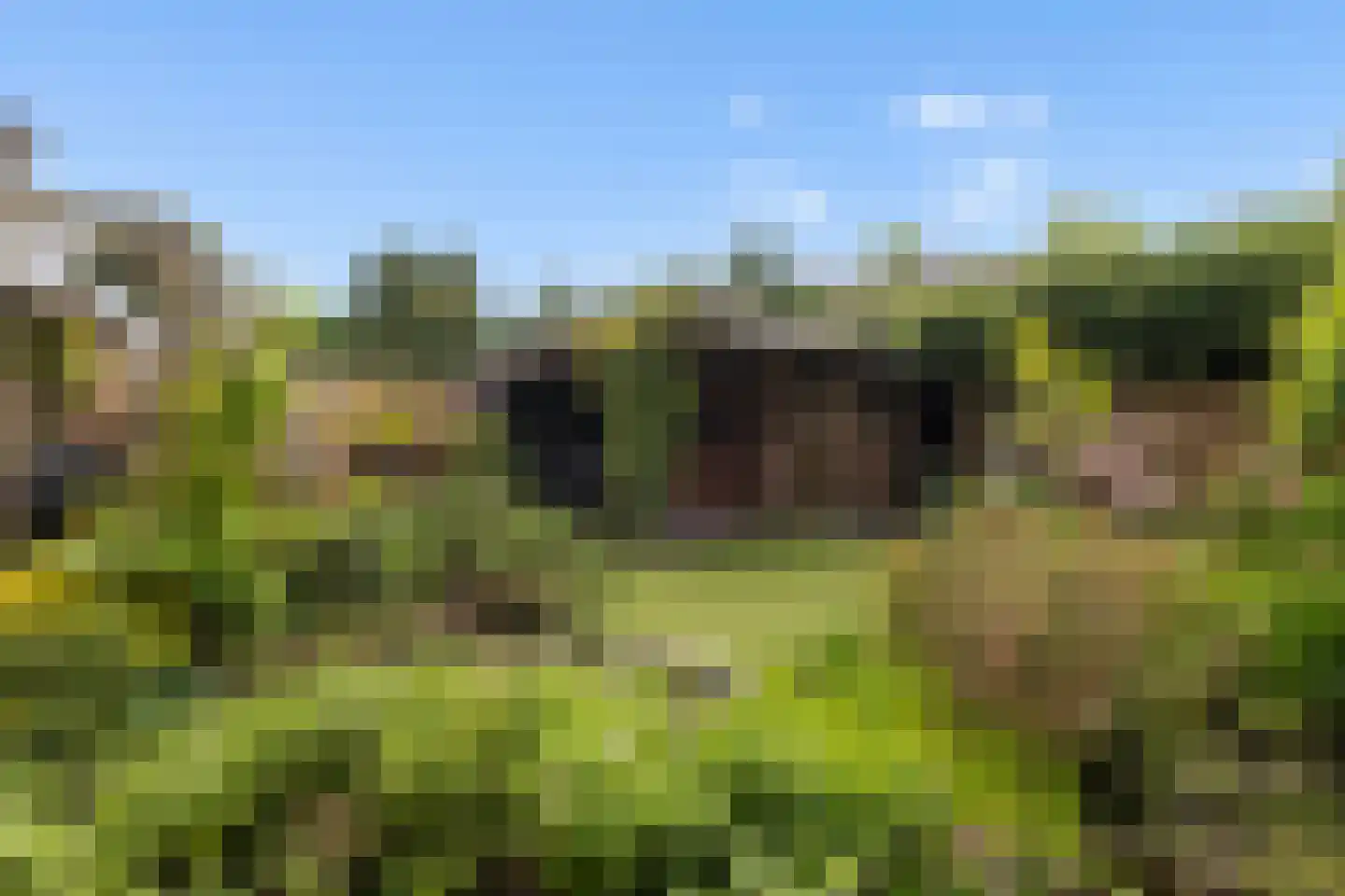 Dreef 40 Biddinghuizen thumbnail 27