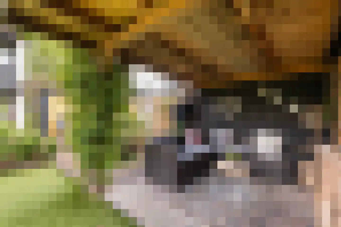 Dreef 40 Biddinghuizen thumbnail 28