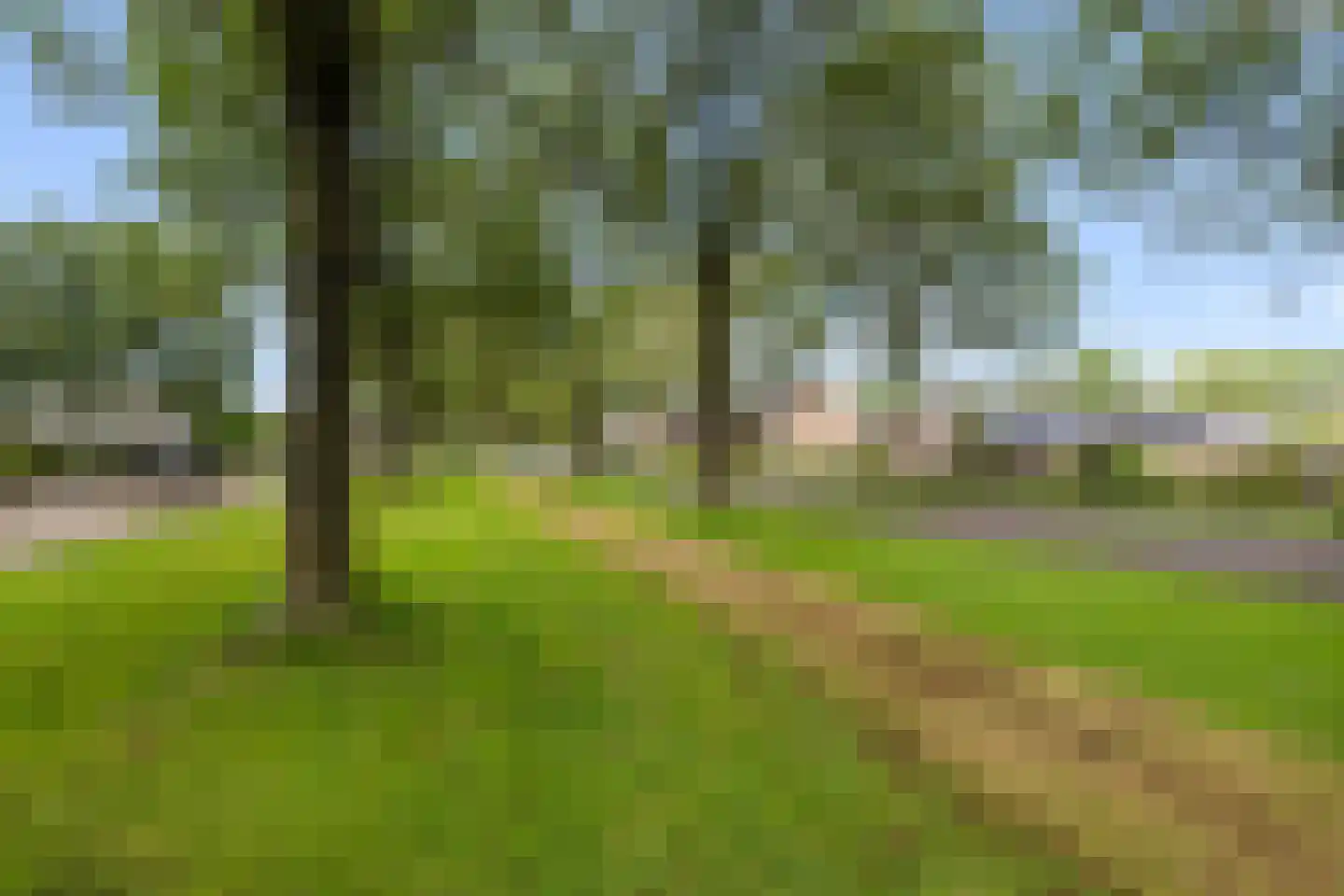 Dreef 40 Biddinghuizen thumbnail 32