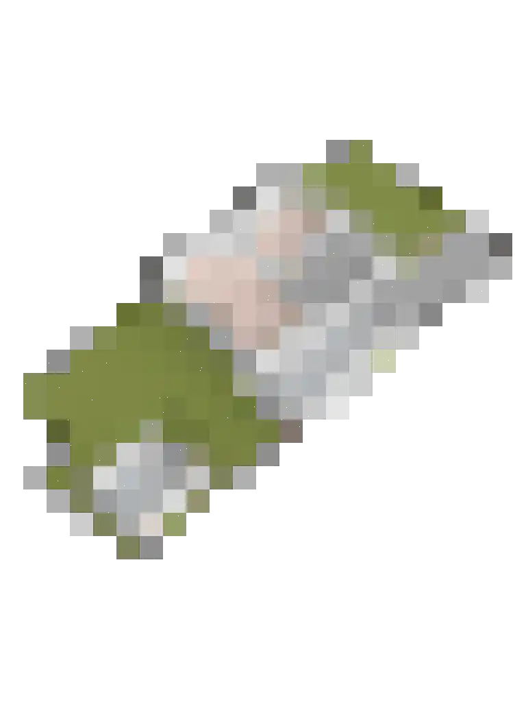 Dreef 40 Biddinghuizen thumbnail 38