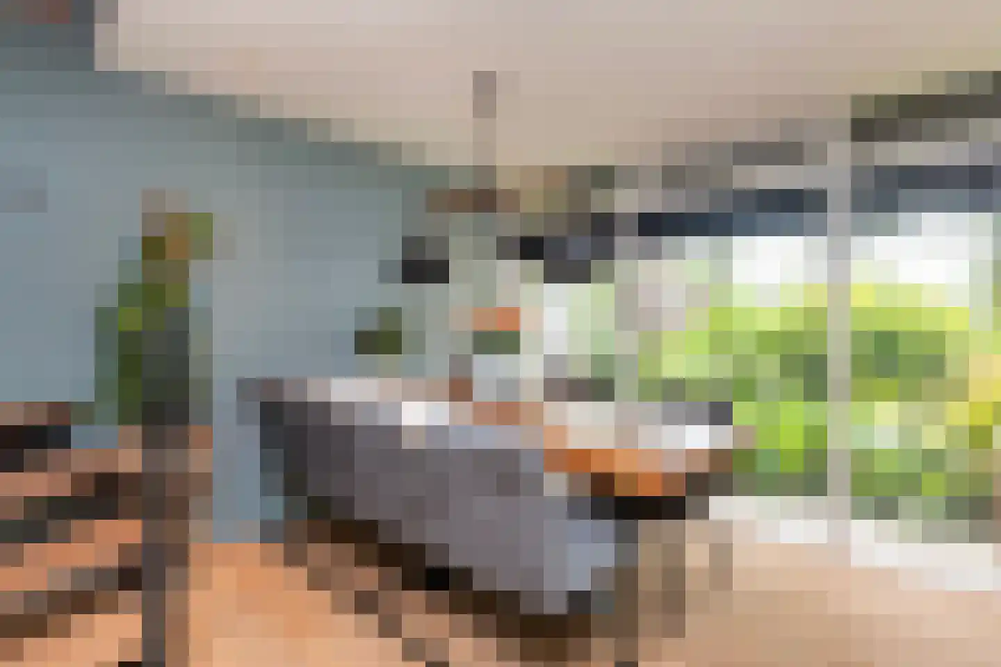 Dreef 40 Biddinghuizen thumbnail 5