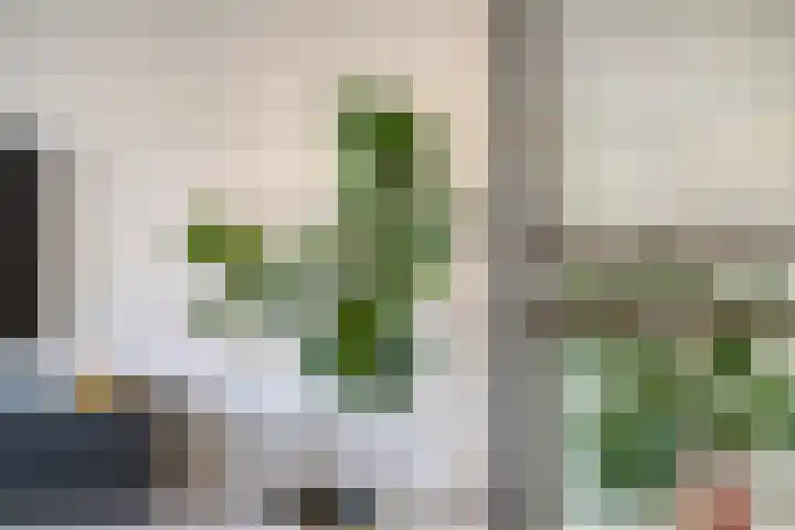 Dreef 40 Heusden thumbnail 12