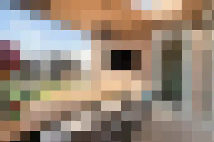 Dreef 40 Heusden thumbnail 24