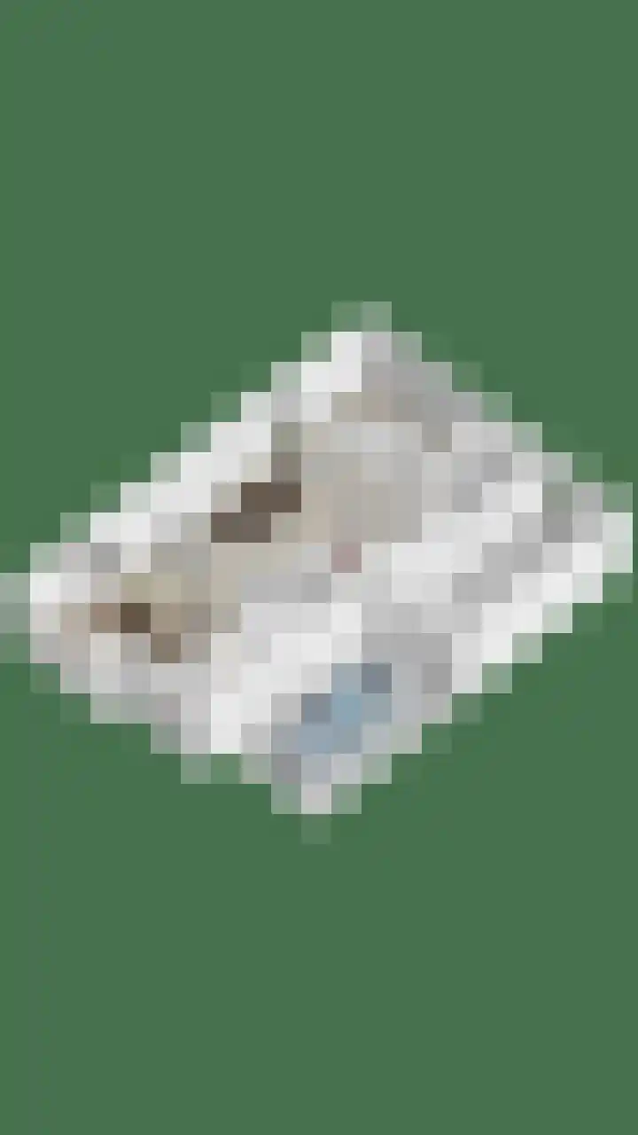 Dreef 40 Heusden thumbnail 47